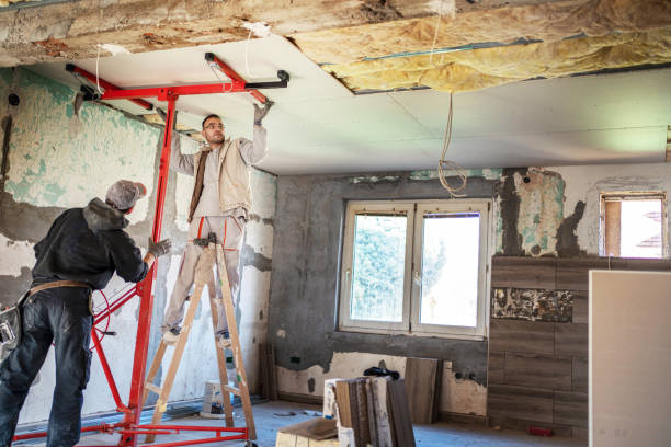 Best Cellulose Insulation in Springdale, NC