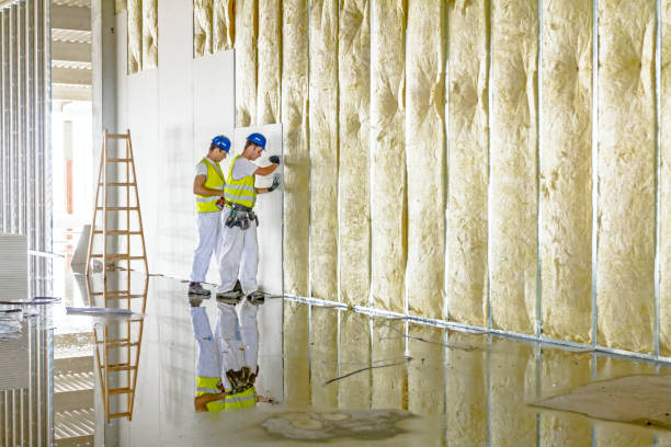 Professional Insulation Contractor in Springdale, NC